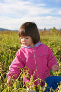 Celebrate Earth Day with these family-friendly activities