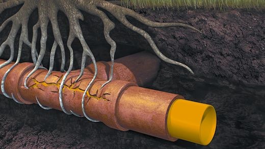 How to prevent a clogged sewer