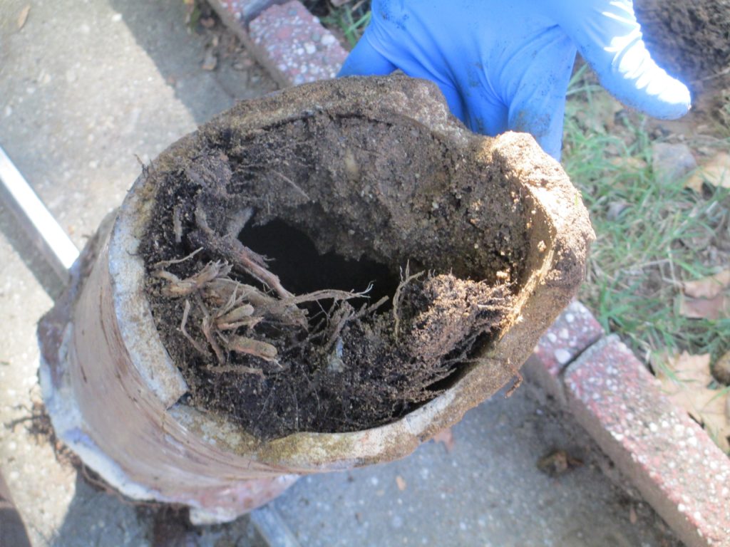 Clogged sewer line with backed-up wastewater