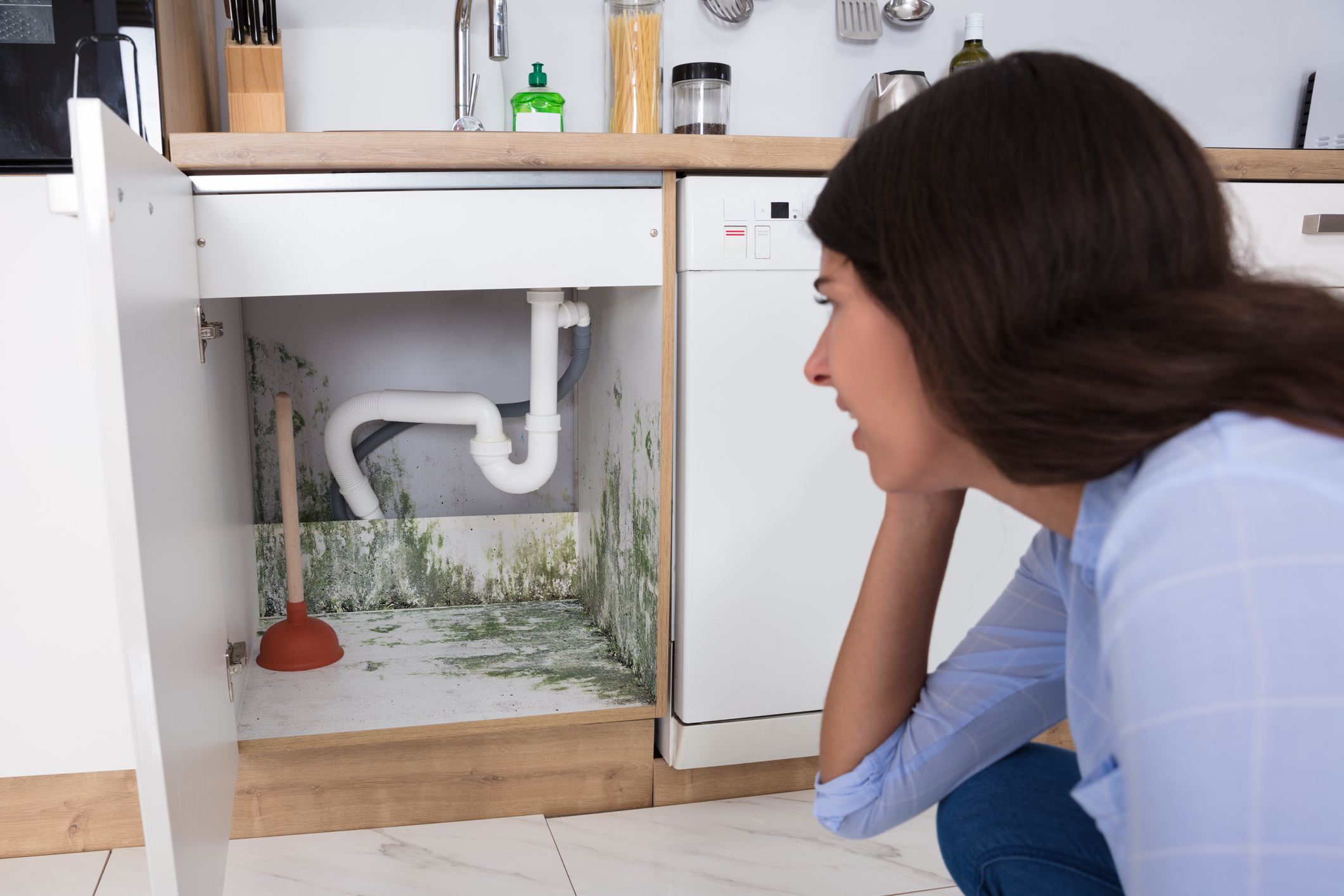 Woman inspecting mold in kitchen cabinet